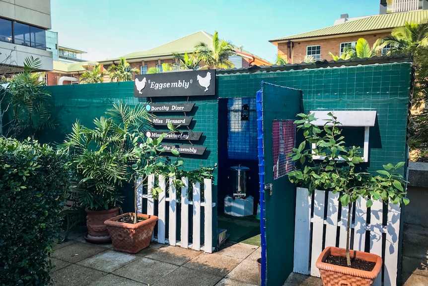 Green shaded chook coop named Eggsembly.