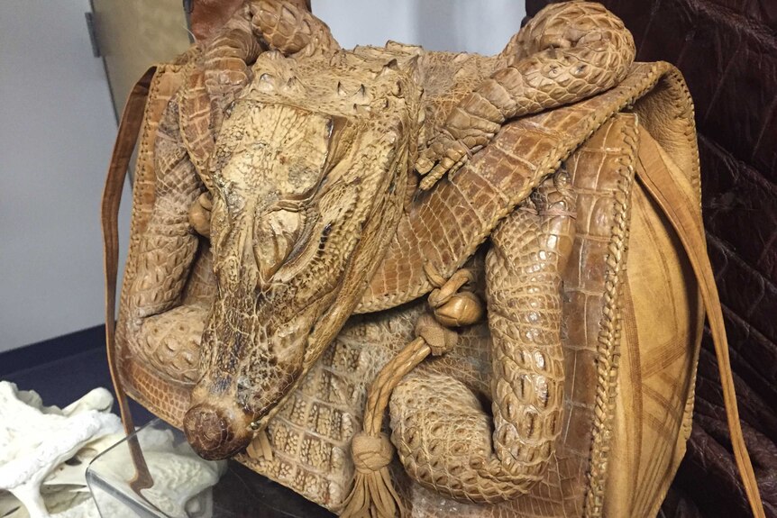 A handbag made out of a stuffed alligator