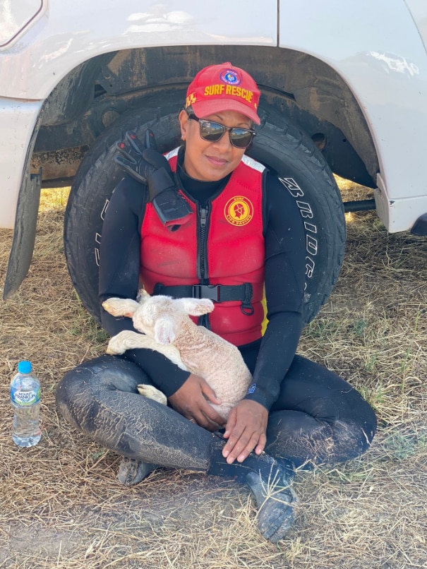 A Surf Rescue NSW team member cradles a lamb after rescuing it from floodwaters in Menindee