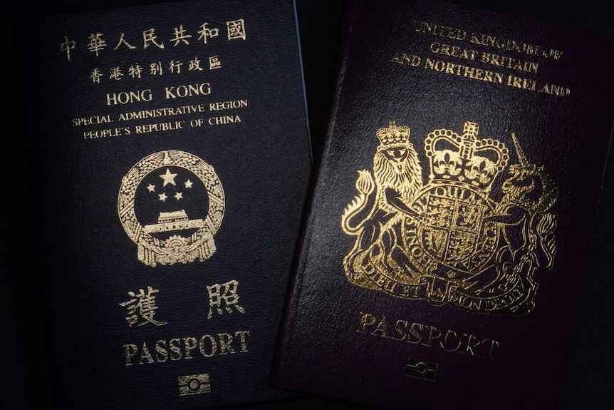 香港政府呼吁14国政府不要接受BNO证件。