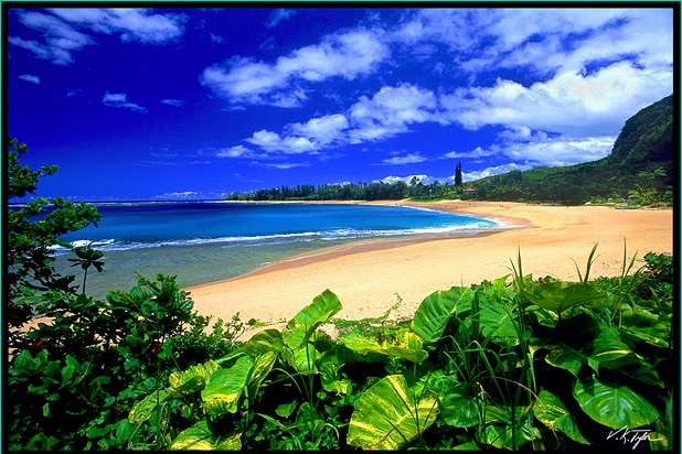 Haena Beach, Kauai, Hawaii - Vincent Khoury Tylor