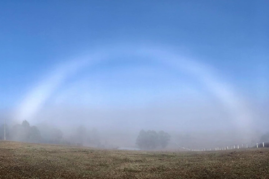 A white ghostly rainbow in a paddock.;