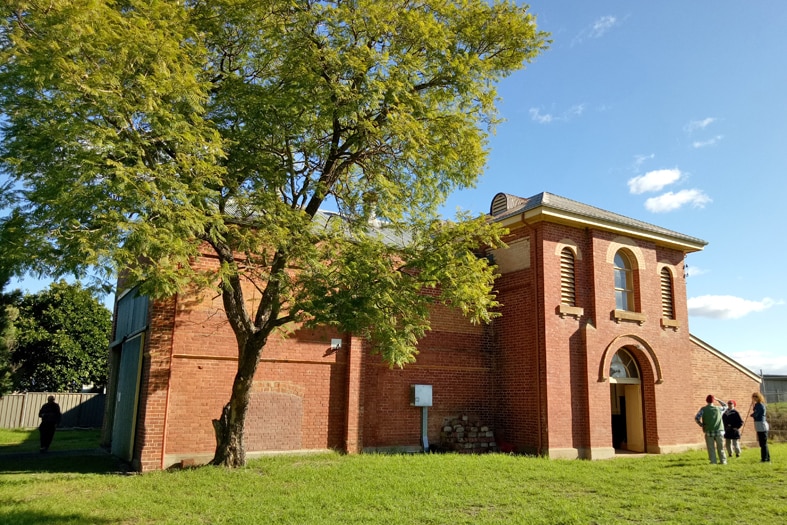 An exterior shot of a historic brick building with a tree situated next to it
