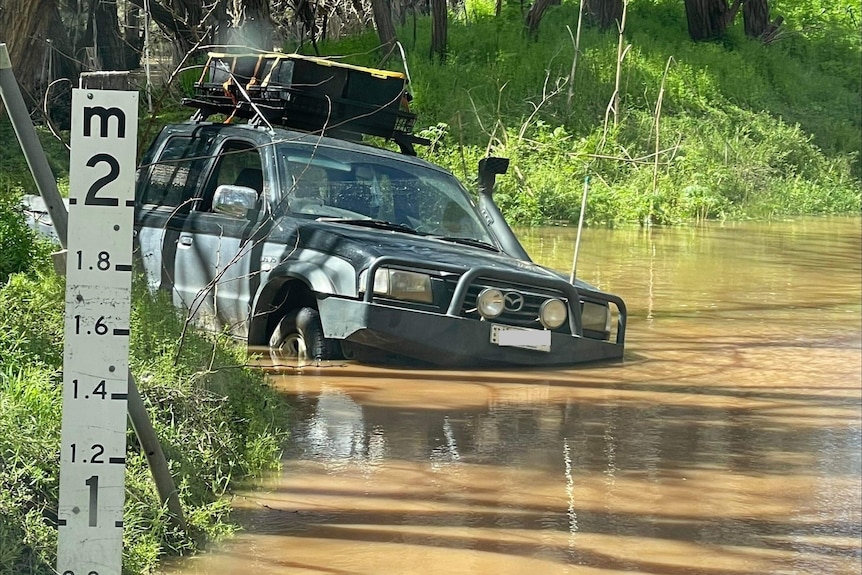 A four wheel drive with a black bull bar in brown water up to the tops of its wheels.