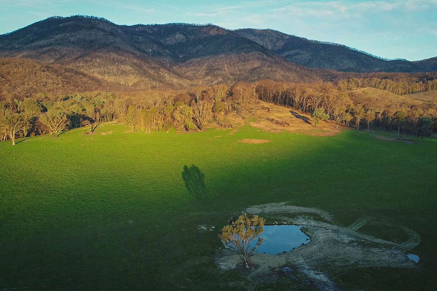 A drone shot of burnt out mountain, with beautiful light on the paddocks below, that are bright green.