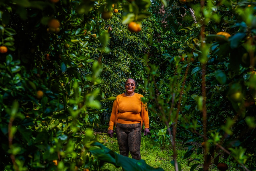 A woman in a bright orange top stands in the middle of mandarin trees smiling.