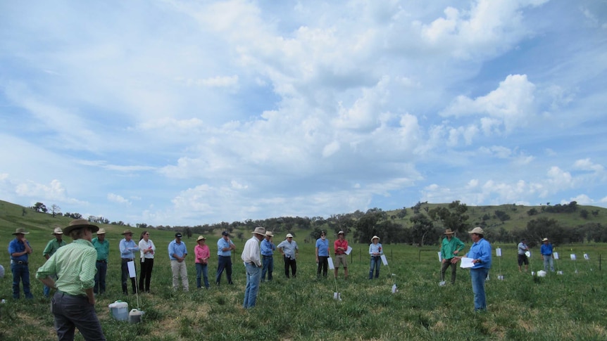 Alternative fertilisers under the microscope