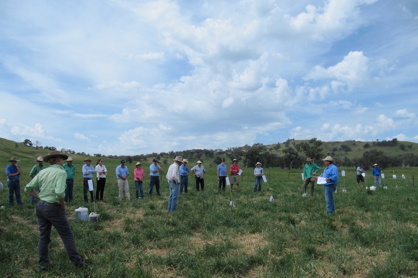 Alternative fertilisers under the microscope