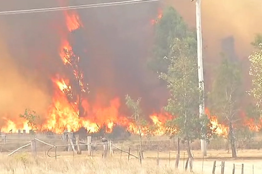 A tree catches alight, surrounded by a wall of flame.