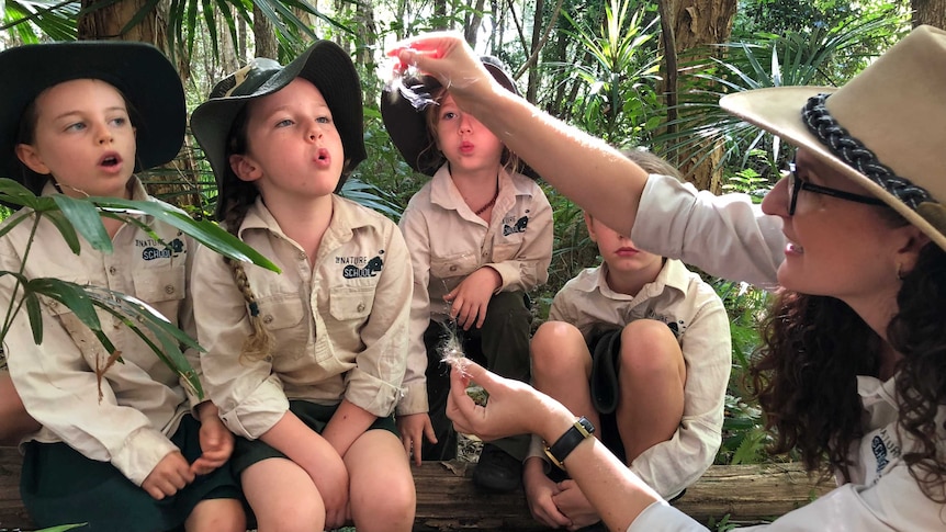 A group of students in the bush at the Nature School Primary.