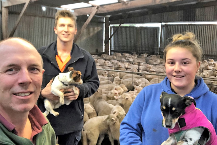 Three smiling farmers with a jack russell in a wool shed