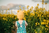 A kid with beanie in canola field 
