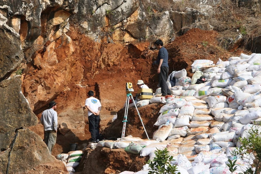 The Maludong fossil site