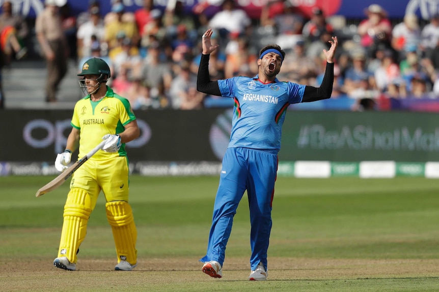 An open-mouthed bowler throws up his hands after nearly taking a wicket.