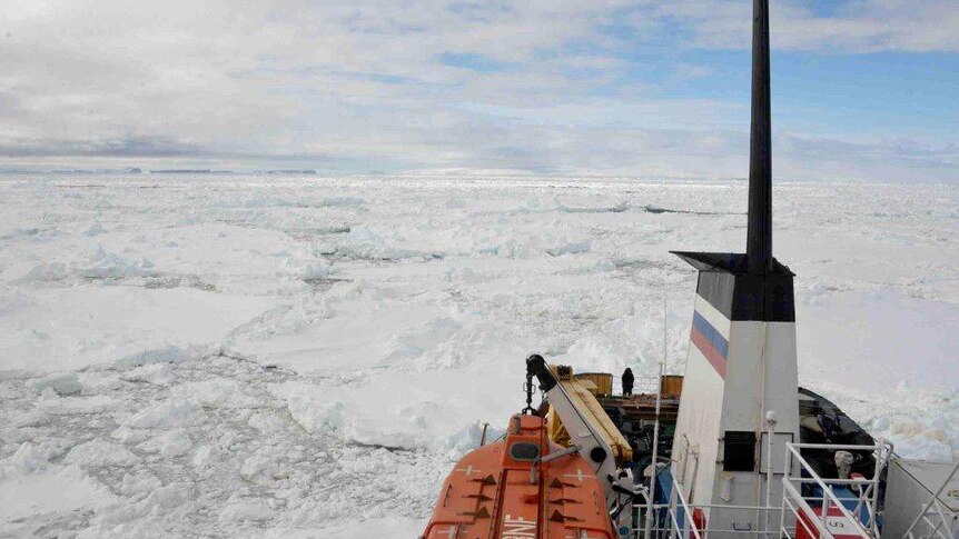 An Antarctic-bound cruise liner remains motionless after being wedged in thick sheets of sea ice.