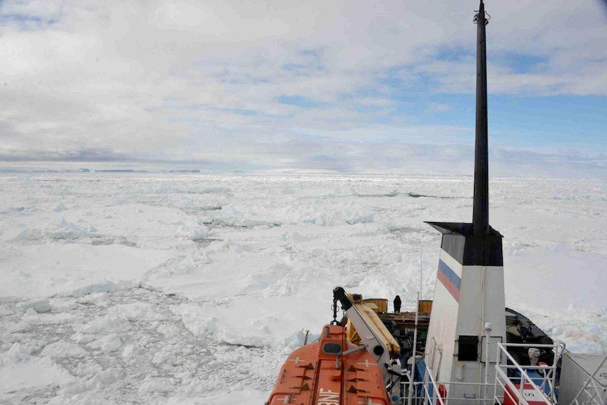 An Antarctic-bound cruise liner remains motionless after being wedged in thick sheets of sea ice.