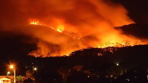 A fire burns in forested hills behind houses in the Clothiers Creek area near Cabarita in northern NSW.