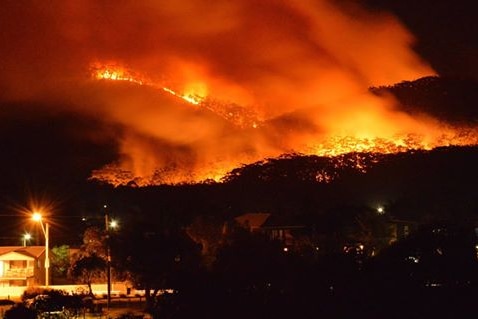 A fire burns in forested hills behind houses in the Clothiers Creek area near Cabarita in northern NSW.