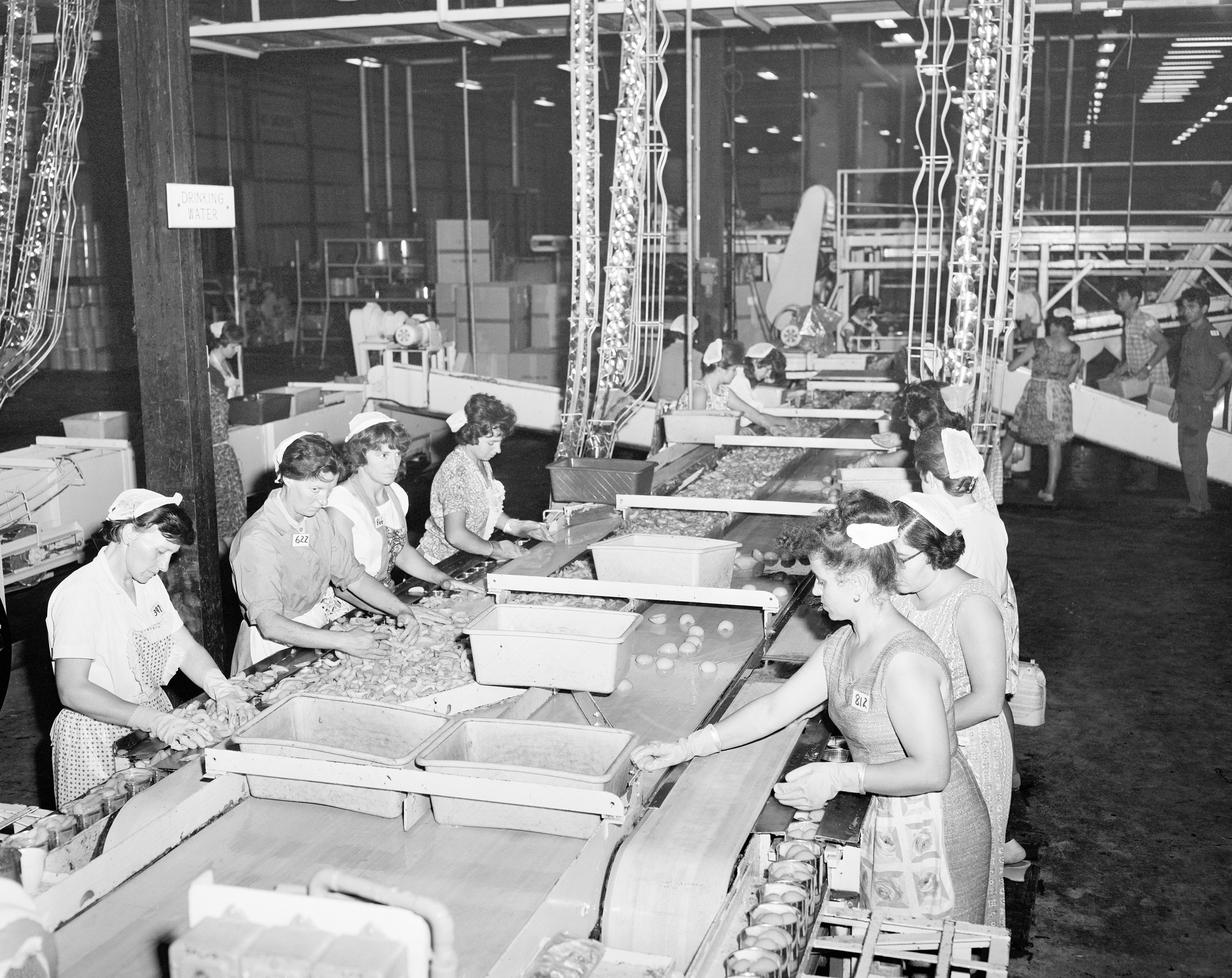 A black and white photo of Greek women filling cans on a production line.