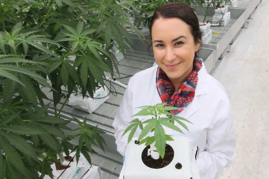 A fair-skinned woman, Emily, in a white coat stands in a greenhouse in front of cannabis plants. She is holding one and smiling.