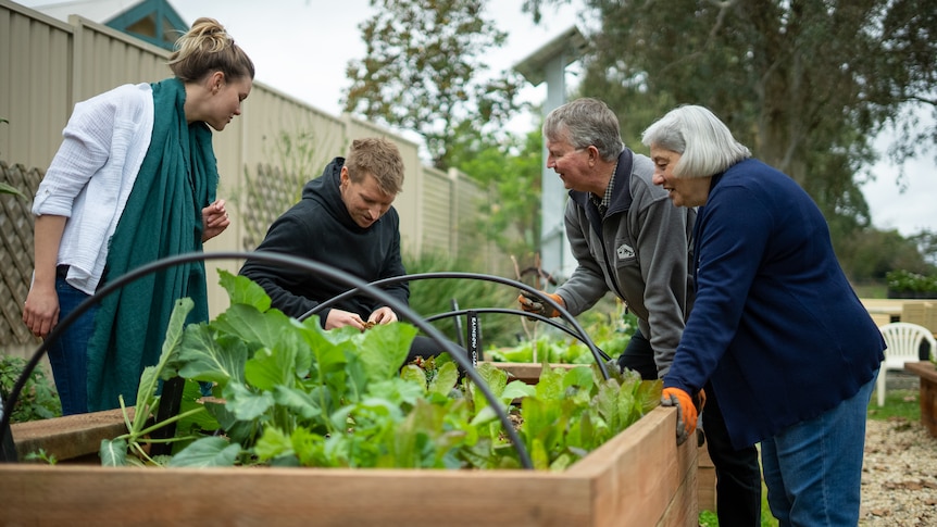 Community gardens offer free produce - and a chance to learn new skills - as rising costs bite