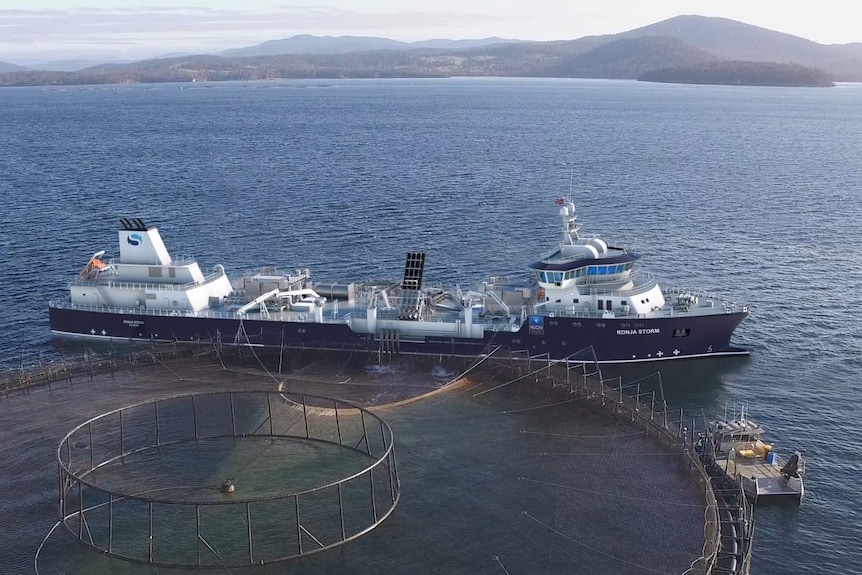 Large salmon processing ship next to fish farming pens.