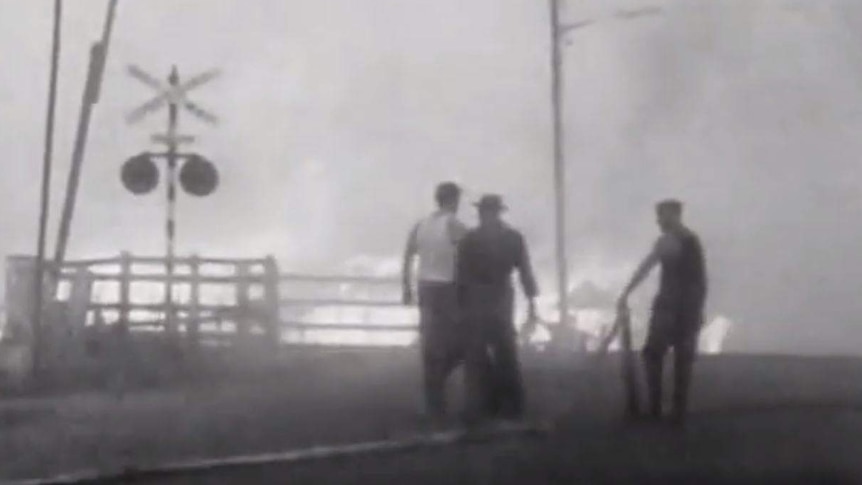 Still image of footage by David Brill of 1967 Tasmanian bushfires.