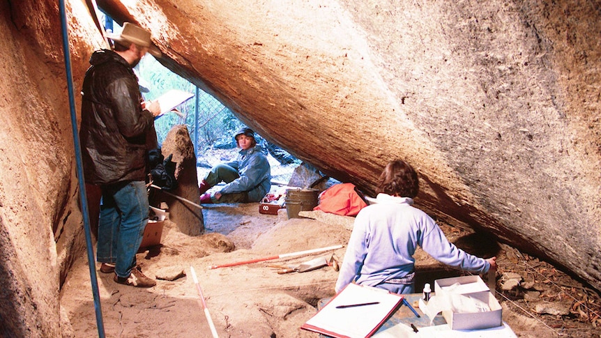 The inside of the Birrigai rock shelter during excavation in 1986.