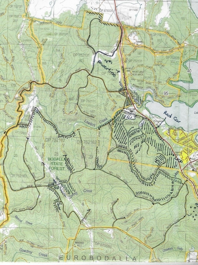 A map showing areas of green marked with black and yellow lines.