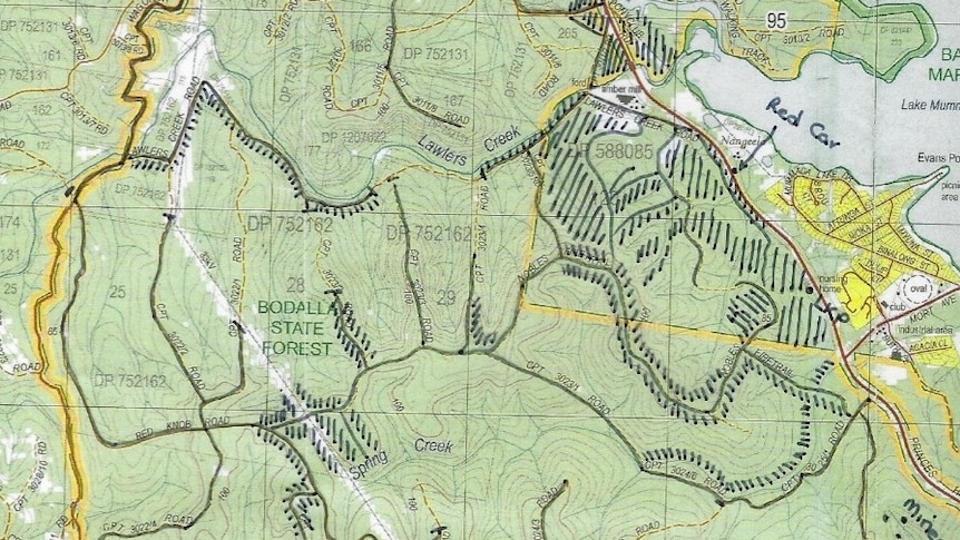 A map showing areas of green marked with black and yellow lines.