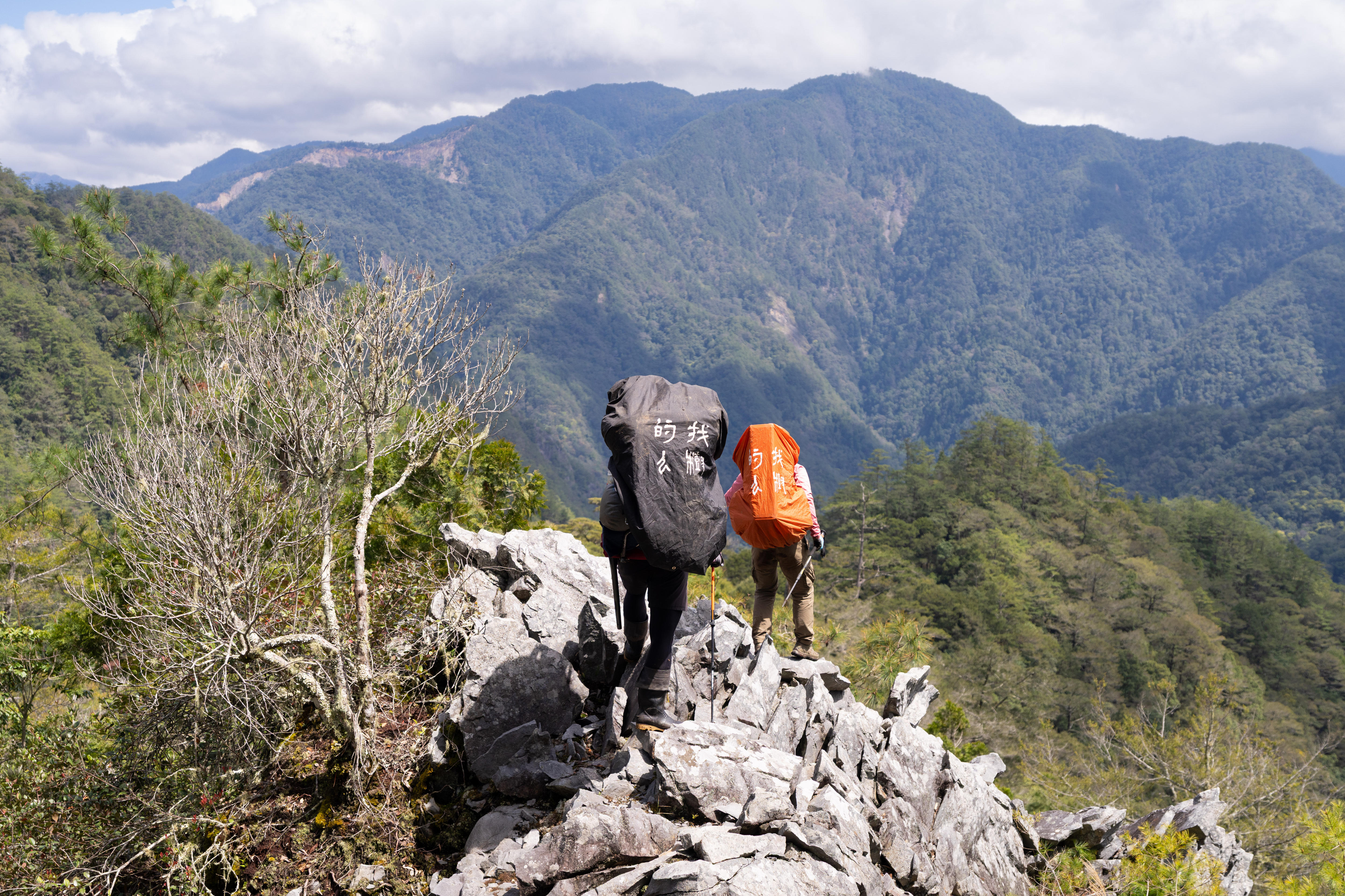 Dos excursionistas caminan sobre una roca en la cima de una montaña, con un gran bosque al fondo.