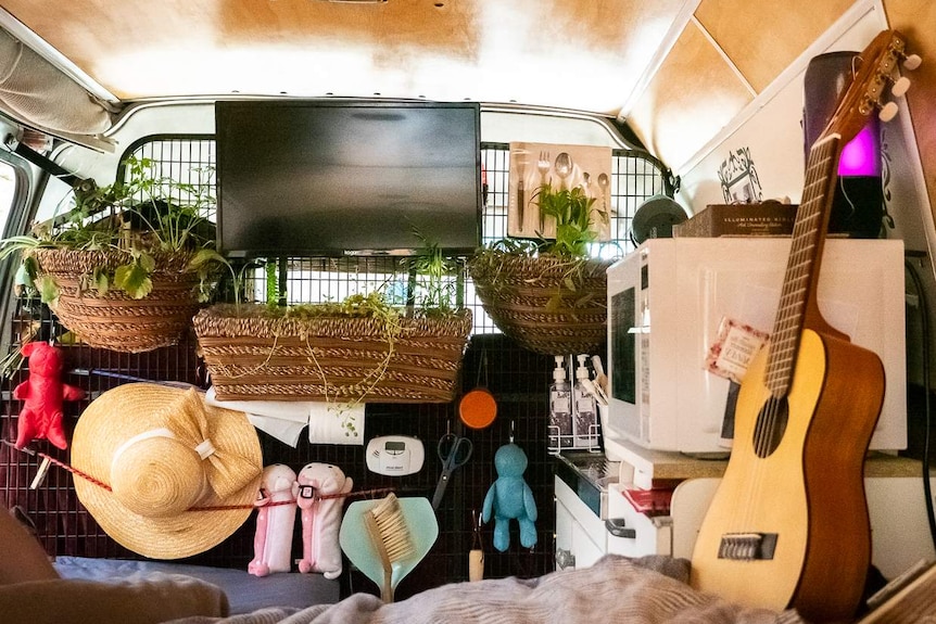 Plants and a television hang on the wall of a campervan.