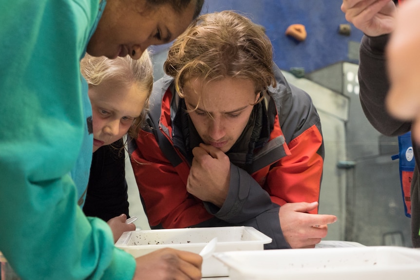 Students and mentors look for macro invertebrates in a dish.