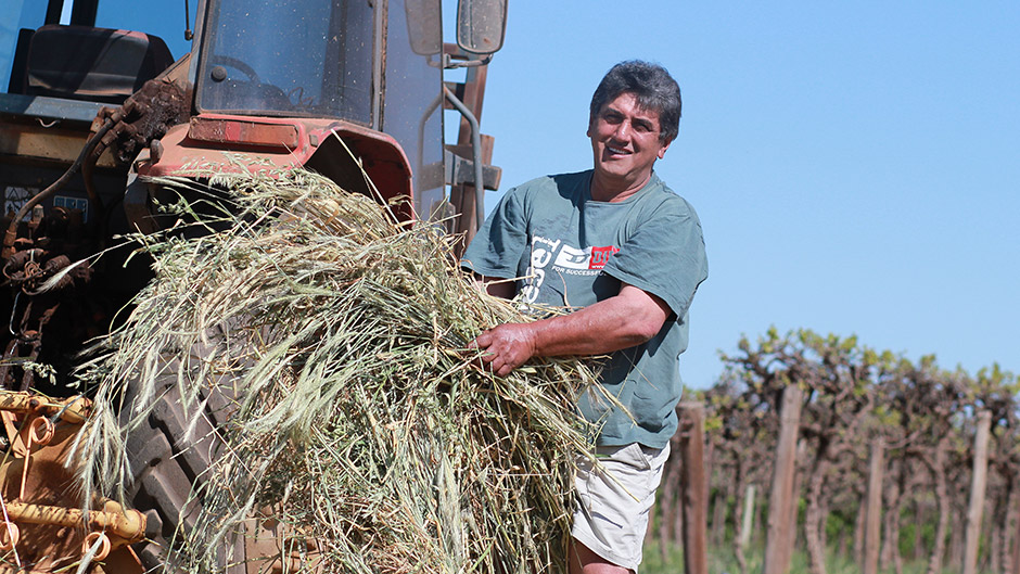 Steve Asimopoulos took an exit grant from the South Australian Government in exchange for his water rights.