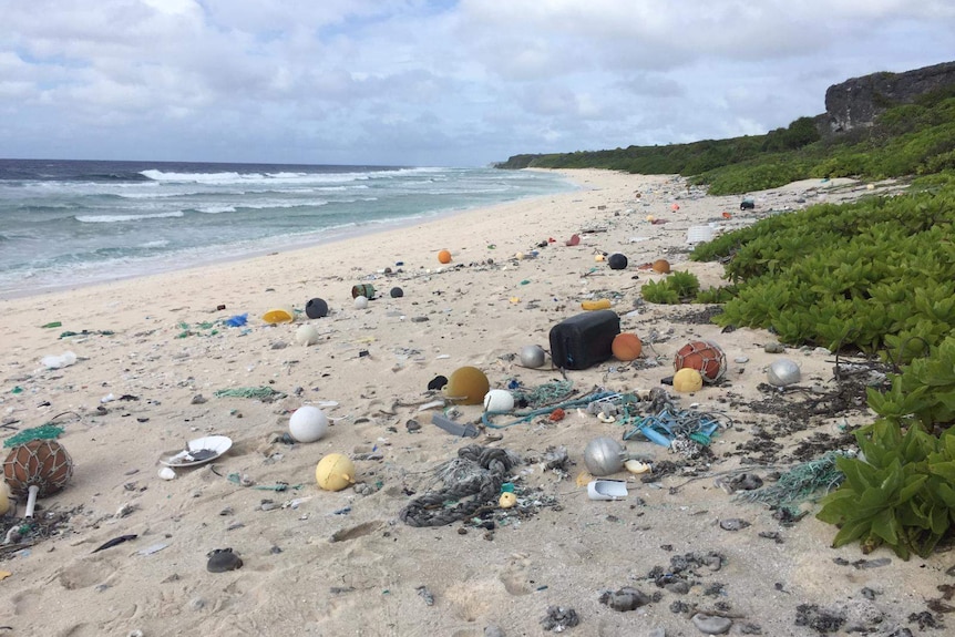 Henderson Island before the clean-up.