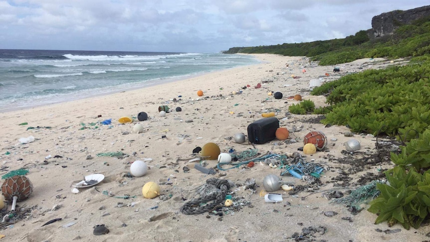 Henderson Island before the clean-up.