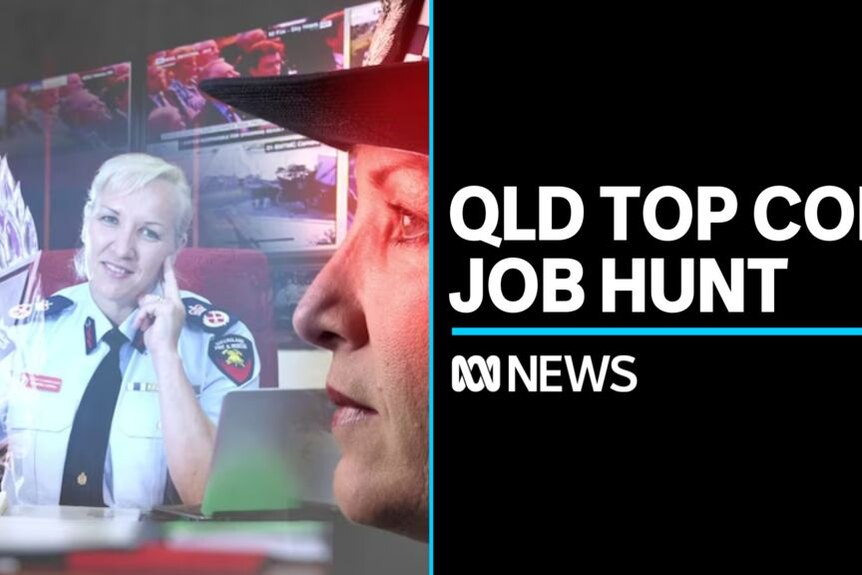 Qld Top Cop Job Hunt: Graphic image of Katarina Carroll sitting at a desk