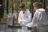 Two researchers in the field at a human body farm.