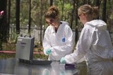 Two researchers in the field at a human body farm.