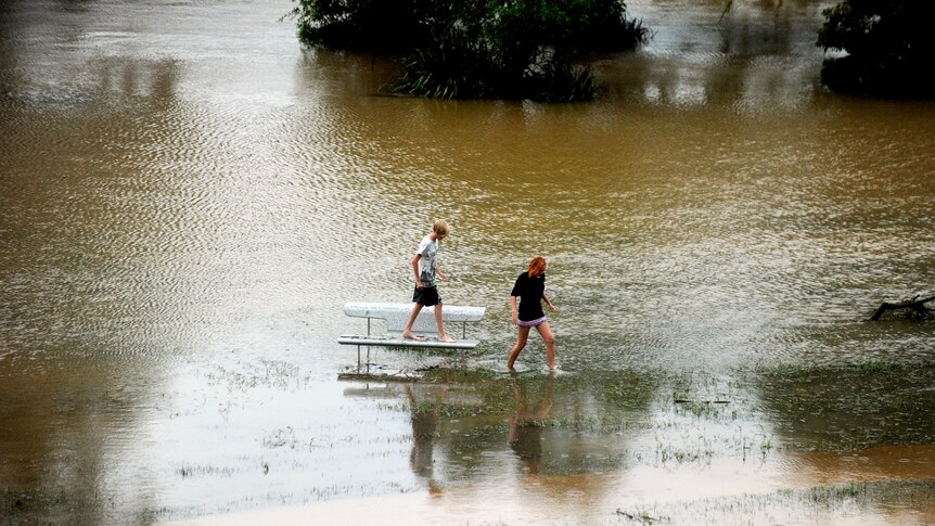 Residents wade out to a bench that has been swamped by the swollen Bellinger River.
