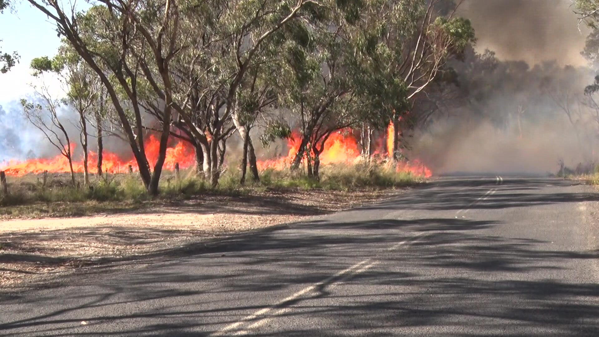 large fire burns next to a road
