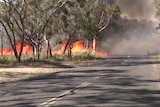 large fire burns next to a road