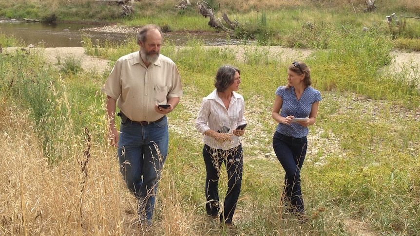 Lynton Bond, Karen Williams and Karissa Preuss take part in a weed mapping project at Oaks Estate.