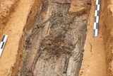 Decayed old bones are visible in a patch of excavated earth. It is clear the skeleton is missing its left leg.