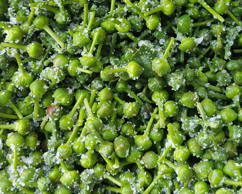 Close up of green capers covered with salt