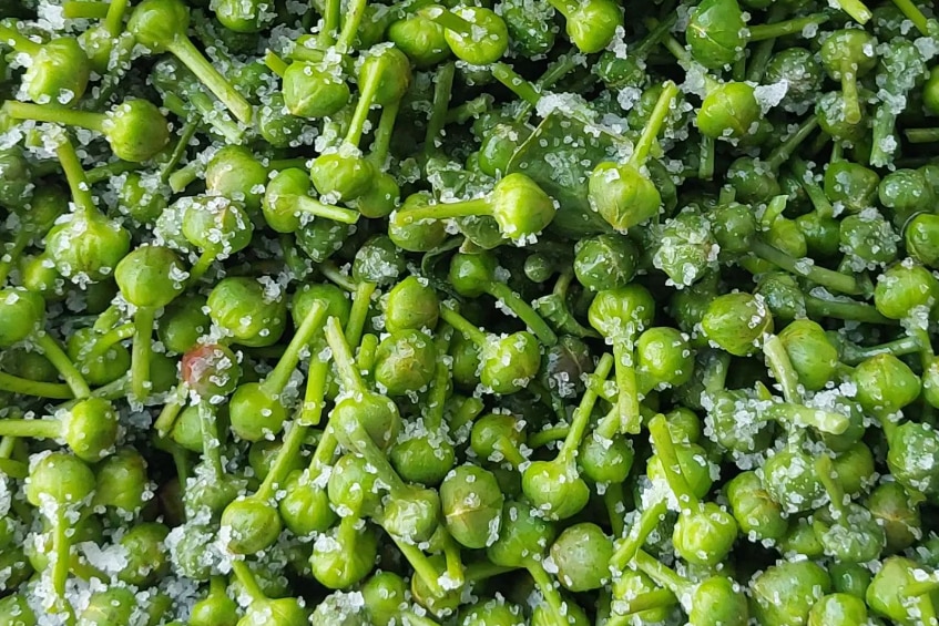 Close up of green capers covered with salt