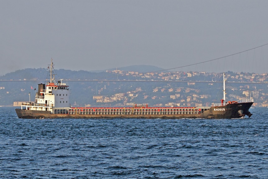 A long, flat cargo ship floats in a port in front of a bridge and hillside in Istanbul.