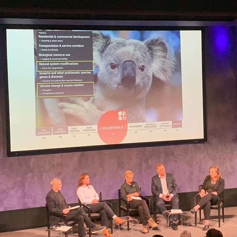 Panel including the Koala Hospital's Clinical Director sitting in front of a koala slide.