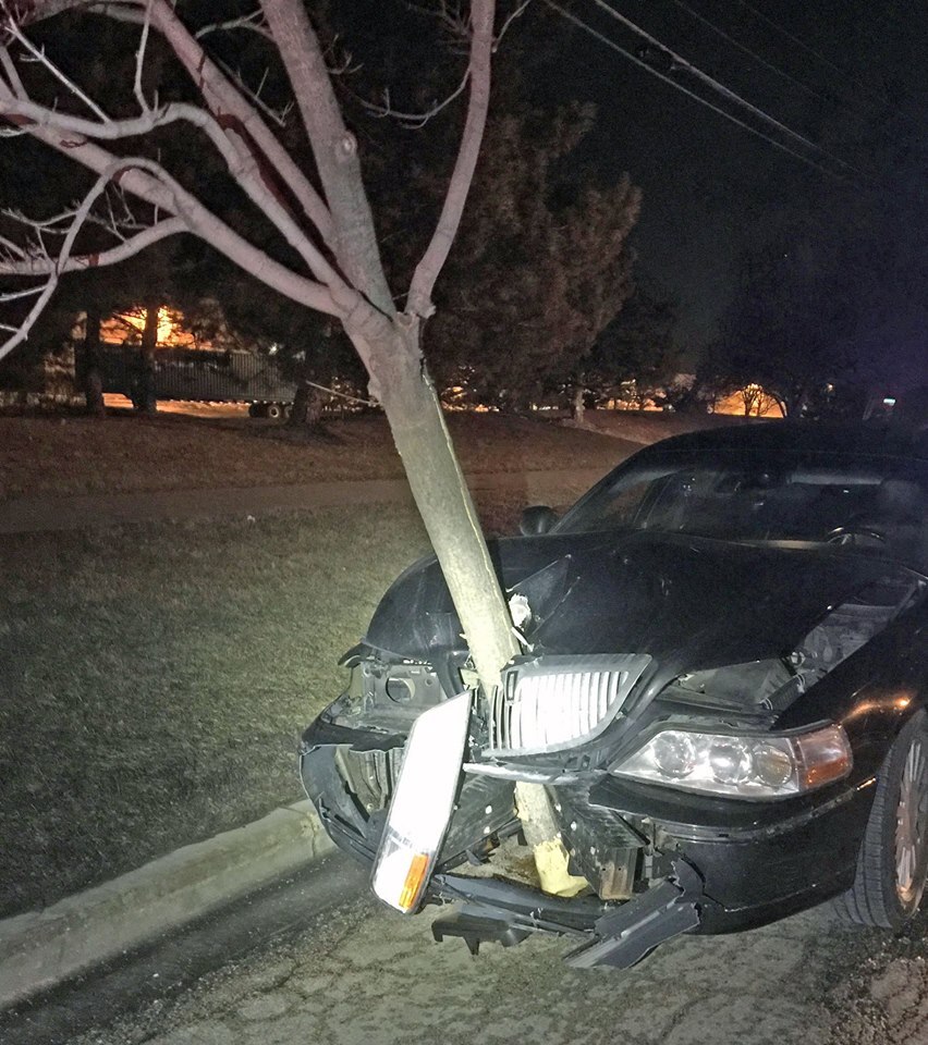 Police arrest drunk motorist driving with 15-foot tree lodged in car ...