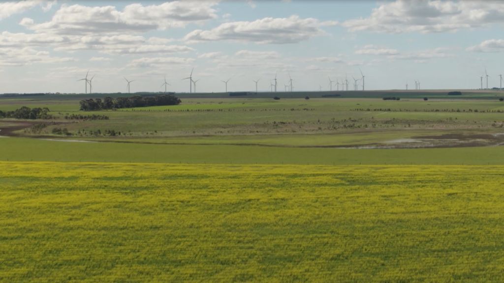 Play Video.  Duration: 1 minute 36 seconds